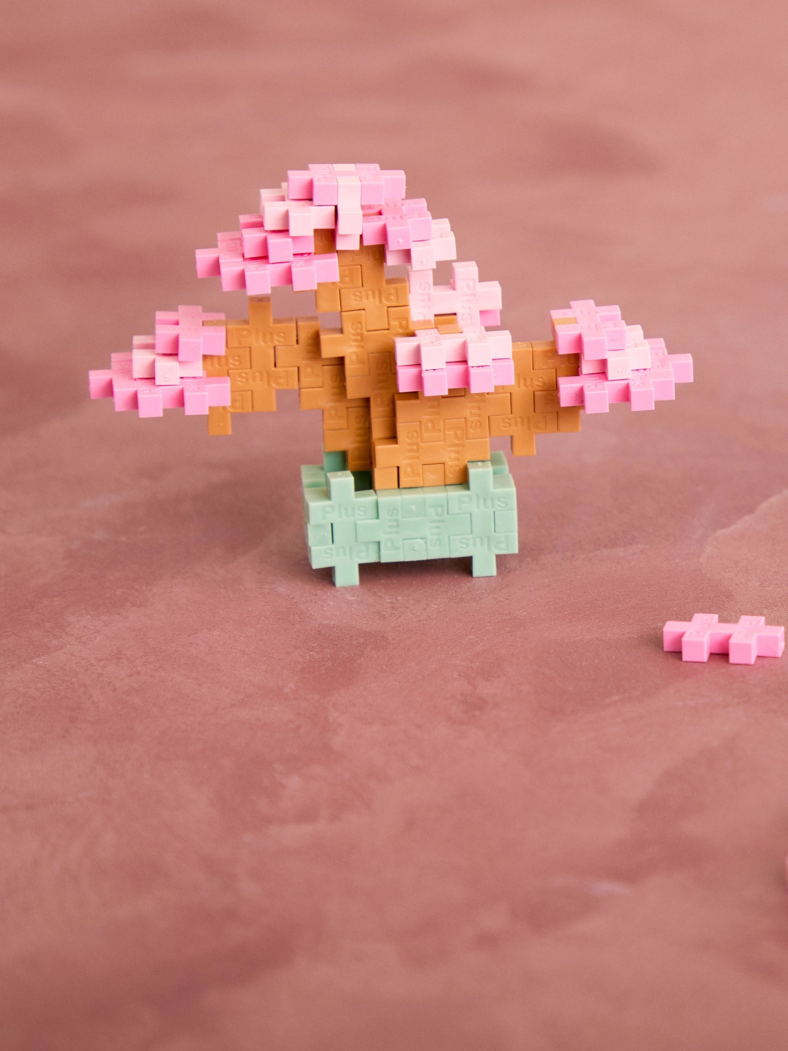 Pink Bonsai